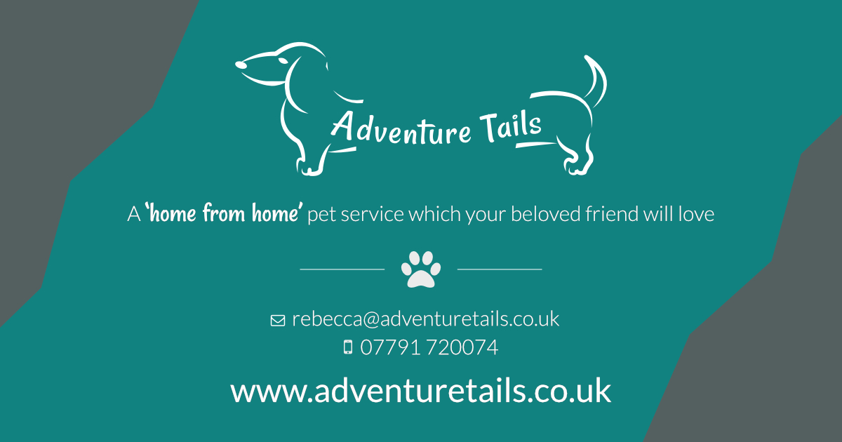 Our Pet Services in Chelmsford, Essex Adventure Tails