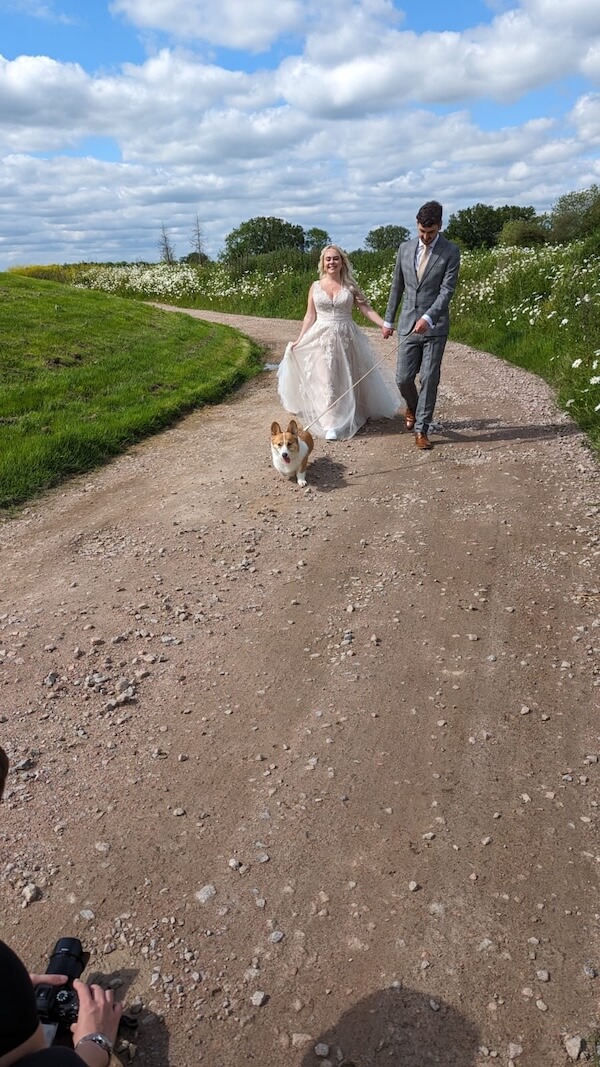 Wedding couple walking down a gravel path with their dog