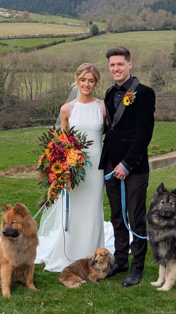Wedding couple posing with flowers and their dogs