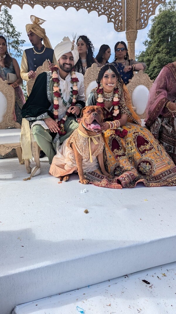 Wedding couple sitting down with their dog at their feet