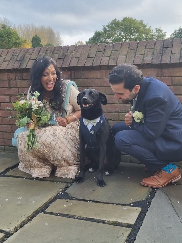 Wedding couple crouched down posing with their dog in a tuxedo