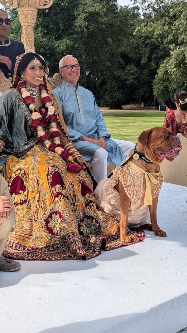 Bride sitting down with their dog at their feet