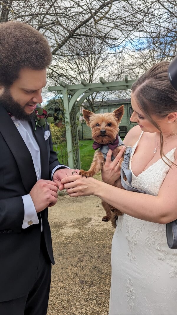 Wedding couple holding their dog who is wearing a bow tie